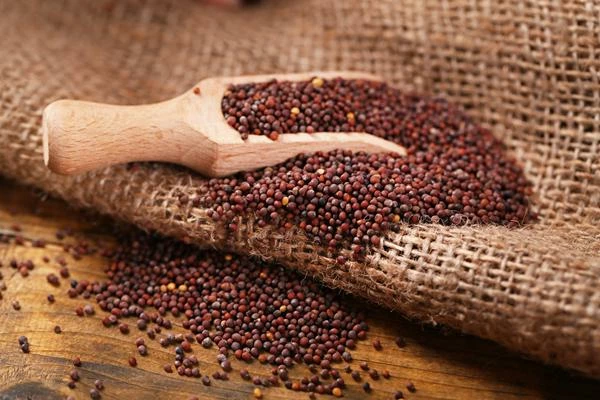 Which Country Produces the Most Mustard seeds in the World?